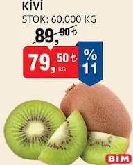 KİVİ KG KİVİ KG